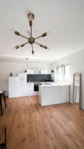 2 ZKB Apartment in Mannheim Küche - Parken - Großer TV
